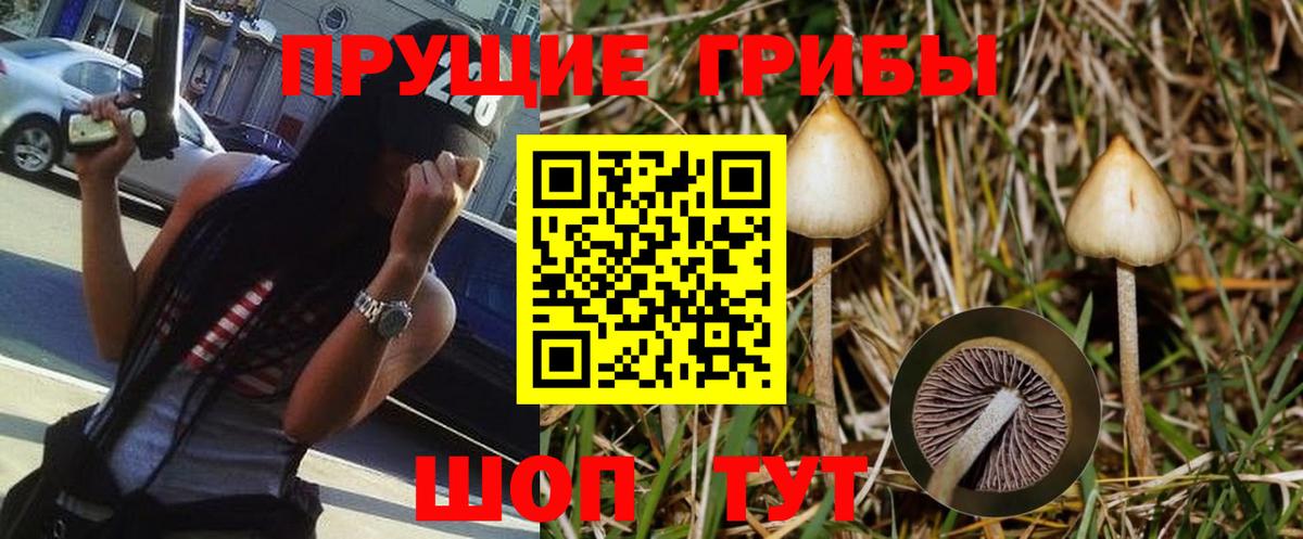 Галлюциногенные грибы ЛСД Будённовск